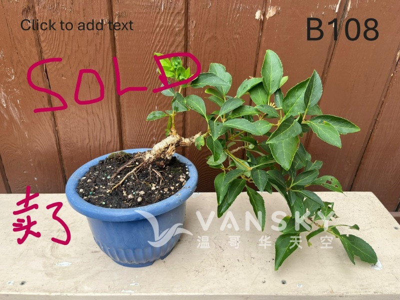 251102013844_B108 28 - 25-08 - SOLD.JPG